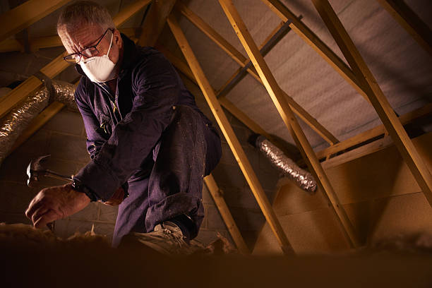 Best Spray Foam Insulation in Baywood Park, CA