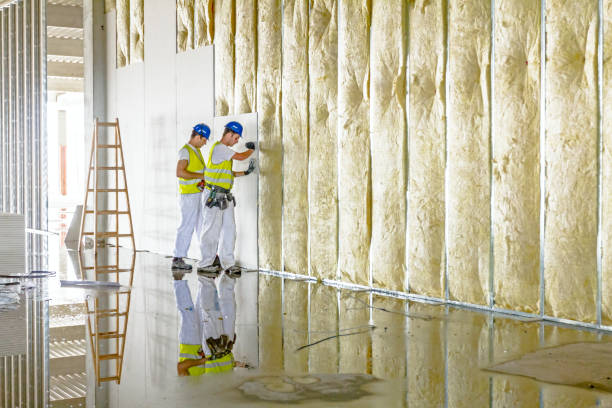 Best Insulation for Specific Applications in Baywood Park, CA